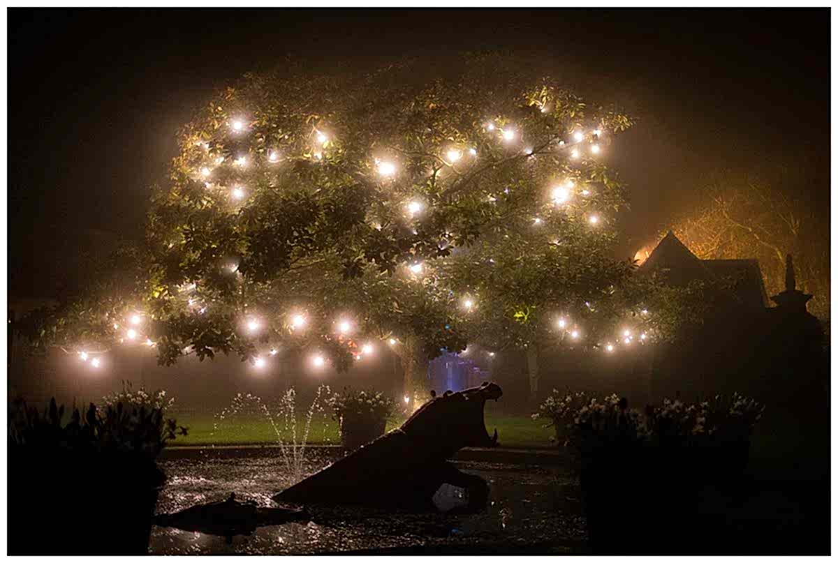 Sarah and Bryn: Port Lympne Hotel, Kent